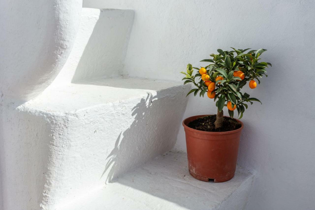 Casa Do Pescador By Ammonite&Co Villa Olhão Kültér fotó